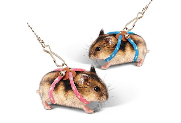 syrian hamster leash