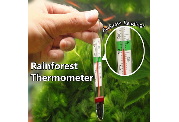 Thermometer Plant Lover Rainforest Landscape Thermometer High