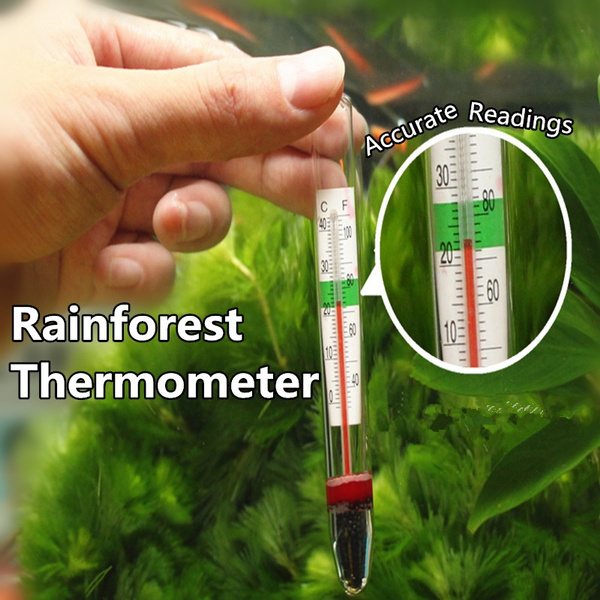 Thermometer Plant Lover Rainforest Landscape Thermometer High