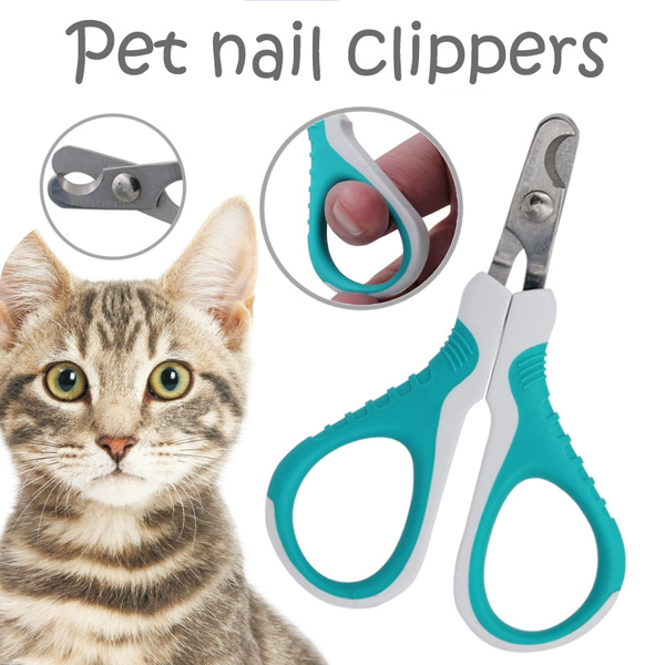 kitten nail clippers