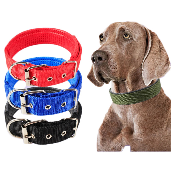 pet iner collar
