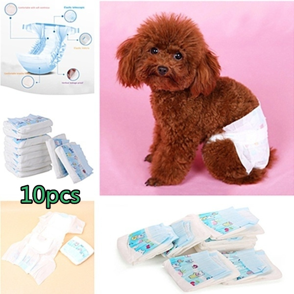 joy dog diapers