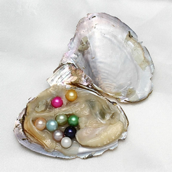 6-11 Pcs Love Best Wishes Pearl Natural Mussel Pearl Oyster Drop
