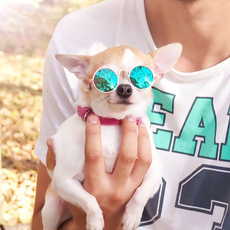 Dog Cat Pet Glasses Sunglasses Little Dog Eye-wear Photos Props Dog cat Accessories Pet Supplies For Pet Products Cat Glasses