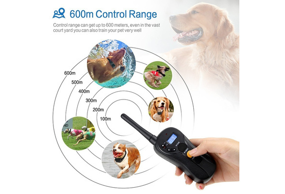 focuspet dog training collar