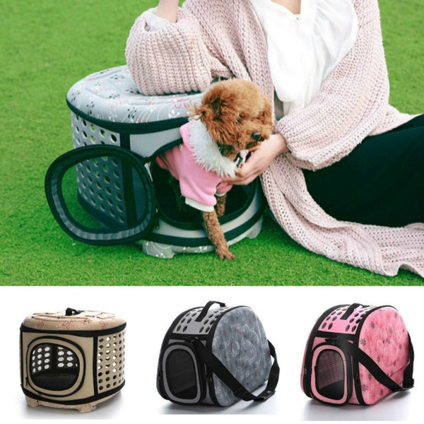 dog stuff