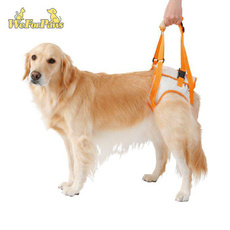 dogwalkingharne, harnessdog, disabledpetharne, dogharnesswithhandle