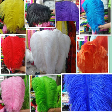 party, ostrichfeather, Accessories, decoration