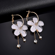New Crystal Tassel Pendant Earrings For Women Fashion Gold Long Large Hoop Earrings Zircon Jewelry