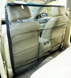 Vehicles, Pets, Cars, Travel