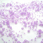 thumbnail - 6