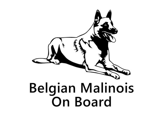 malinois car decal
