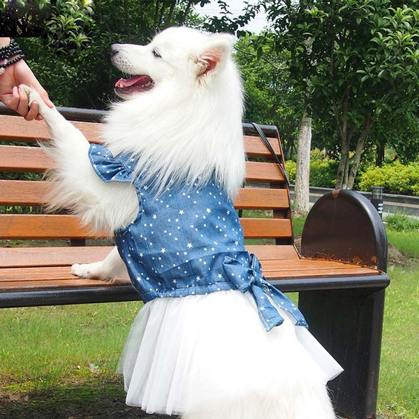 Polka Dot Big large Dog denim dress tutu skirt pet cat Princess wedding dress golden retriever pitbull dog clothes costume