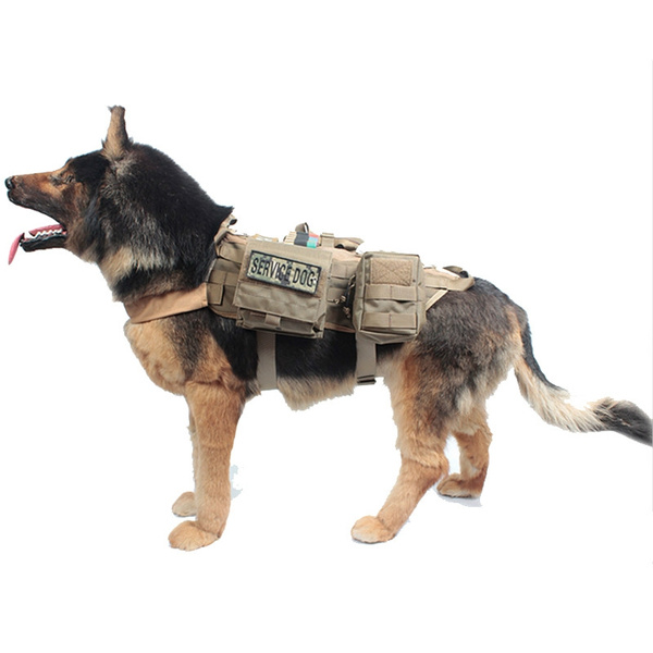 military dog jacket
