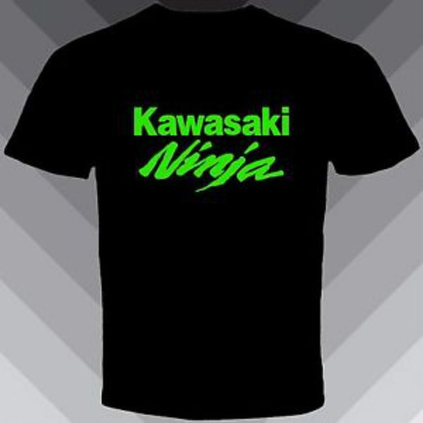 Kawasaki 400 Ninja - WSBK style headlights decals – TrackbikeDecals.com