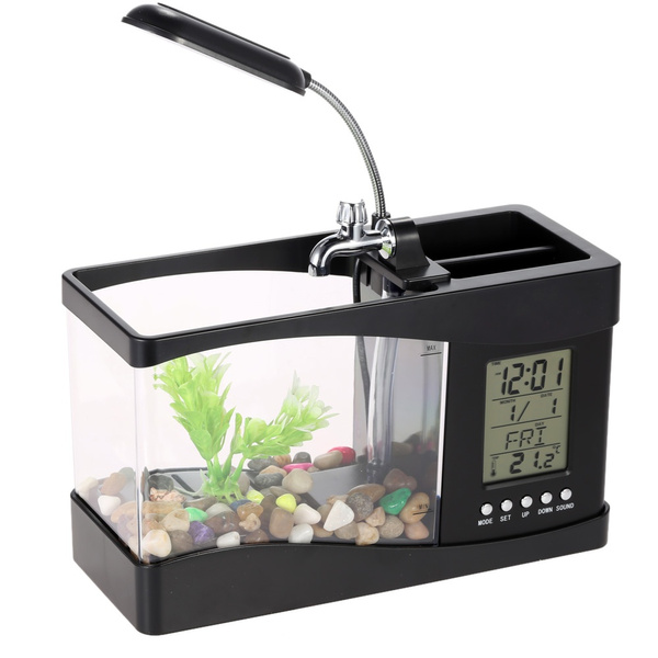 wish fish tank