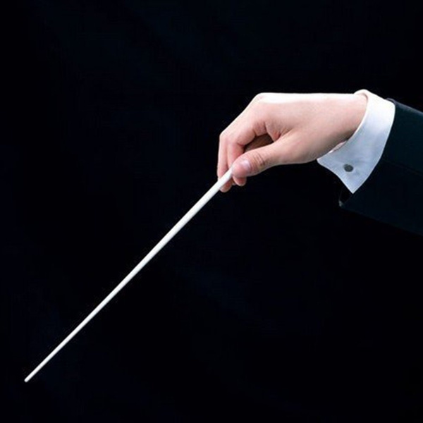 Music Concert Rhythm Band Director Conductor Baton 38.5cm Musical Instrument