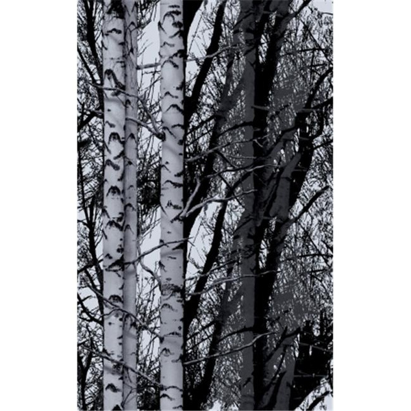DC Fix 334-0028 Birch Forest Premium Window Film Brewster Wallcovering Co
