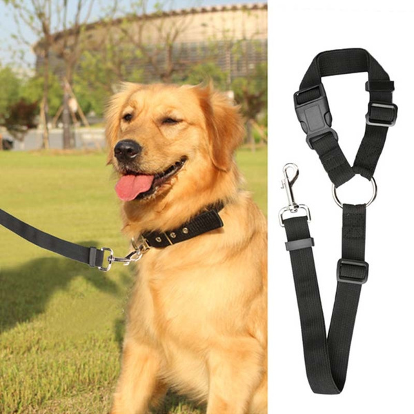 hands free safety dog leash