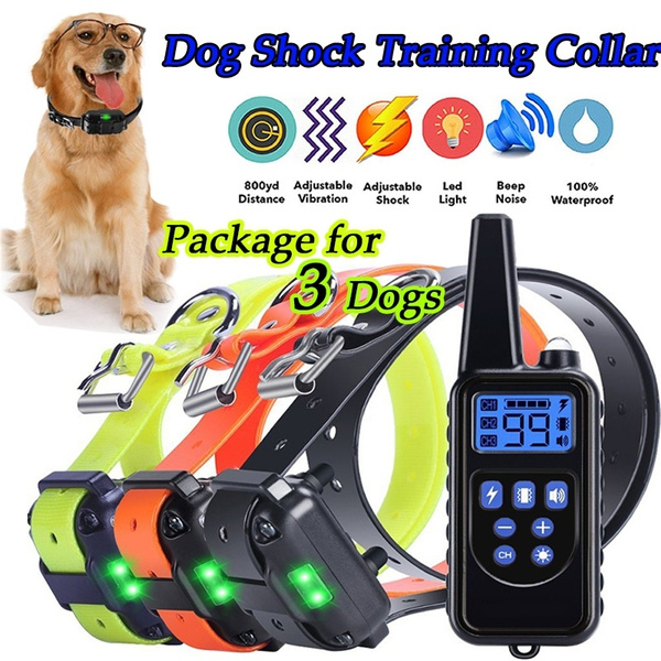 shock collar beeping noise