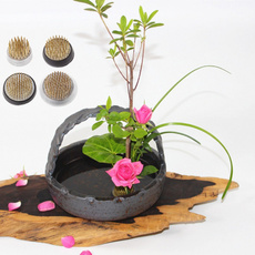 Plants, Flowers, decortool, flowerfix