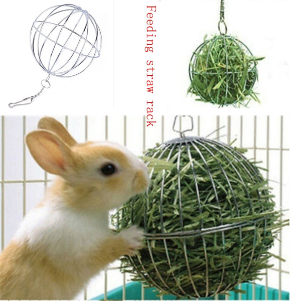 Photo inspiration: Gallery Detail: Creative Feeding Grass Brief Dispense Exercise Hanging Hay Funny Iron