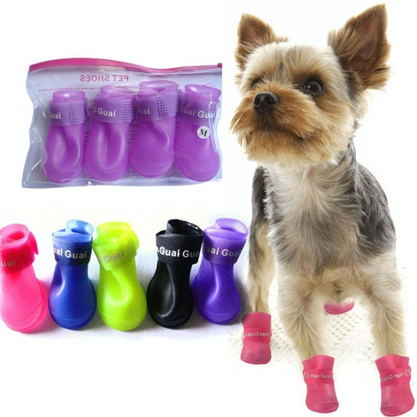 cute shoes for dogs