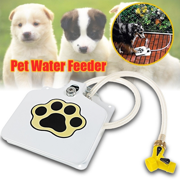 dog foot pedal water fountain
