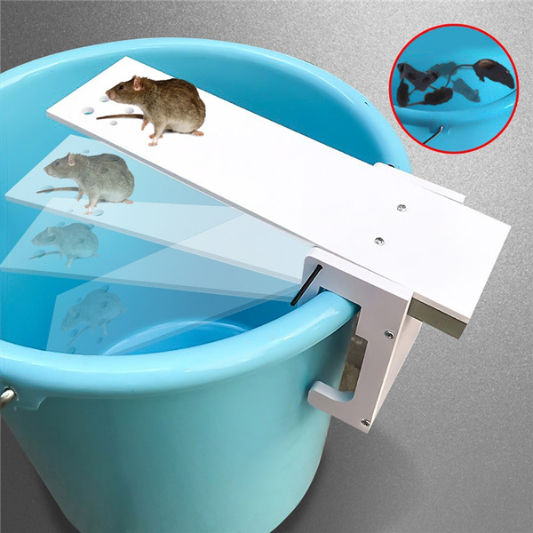 Walk the Plank Mouse Trap Automatic Reset Mouse Trap For Mice Rats Rodents