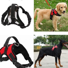 Vest, Dog Collar, Pets, walkoutharne