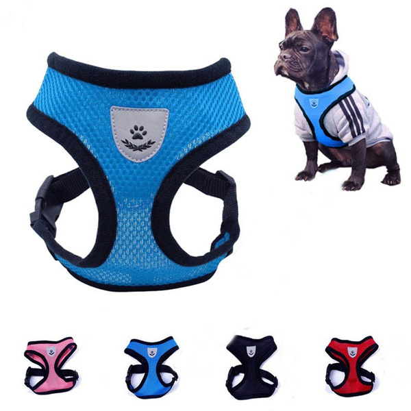 Wish dog accessories Clearance