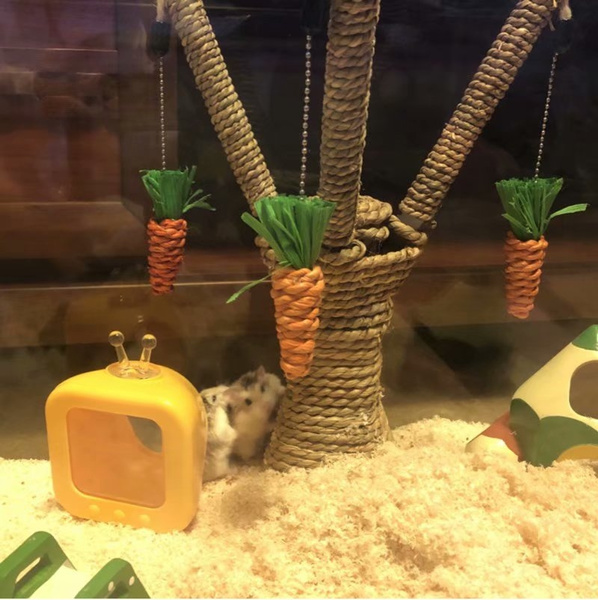 hamster climbing frame