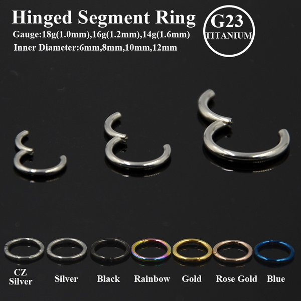 365 Sleepers 1 Pair Titanium 10mm 16G Hinged Hoop Segment Ring Sleeper Earrings Body Piercing