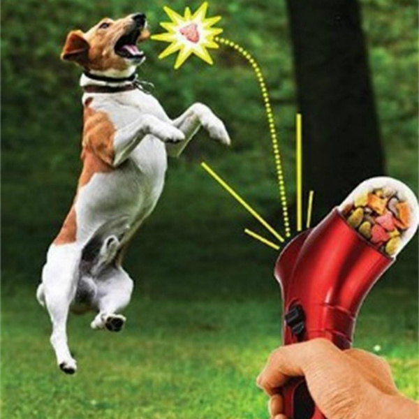 Dog treat outlet thrower