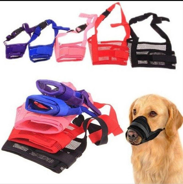 muzzle to stop chewing