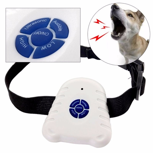 clicker collar