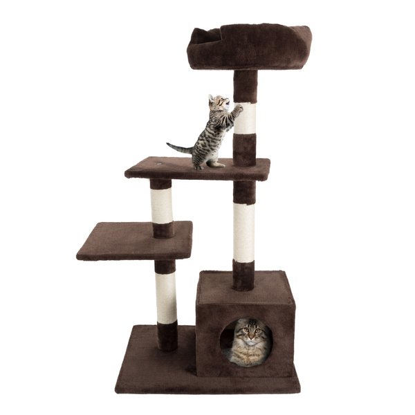 cat sleeping tower