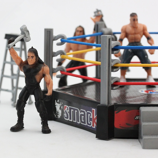 wwe action figure arena