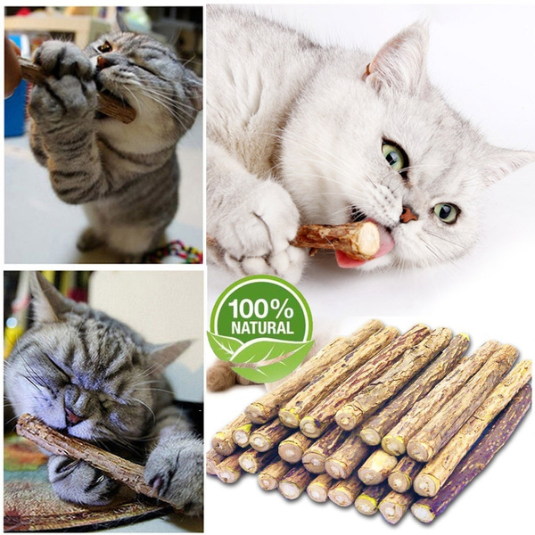 sticks for cats to chew