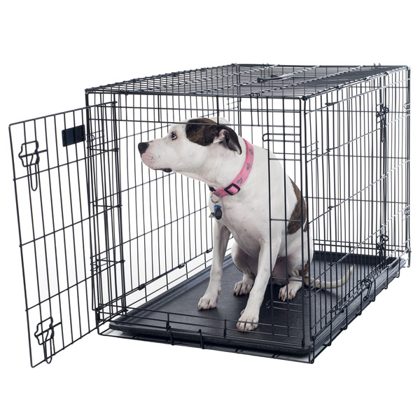 36 x 24 dog crate