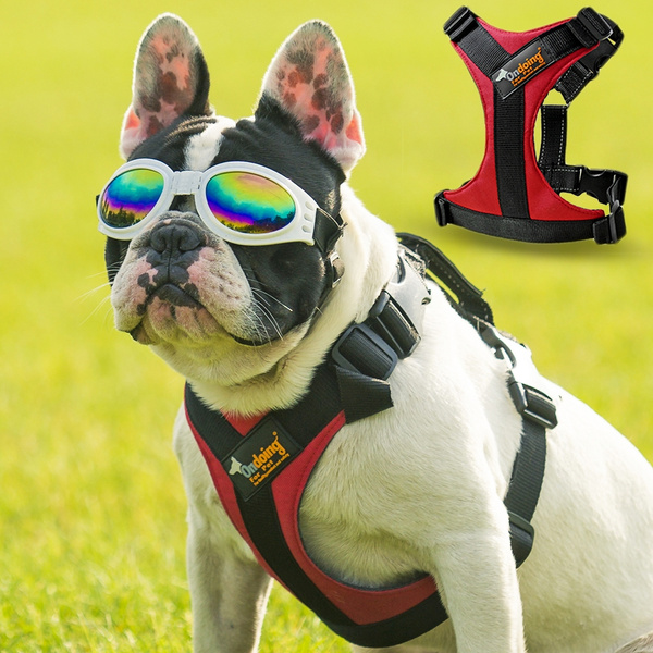 ondoing dog harness