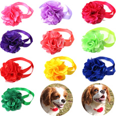 pet dog, Products, Adjustable, Lace