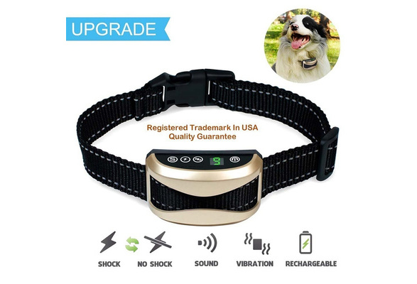 automatic dog shock collar