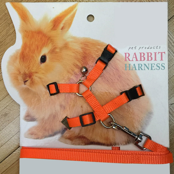 rabbit soft