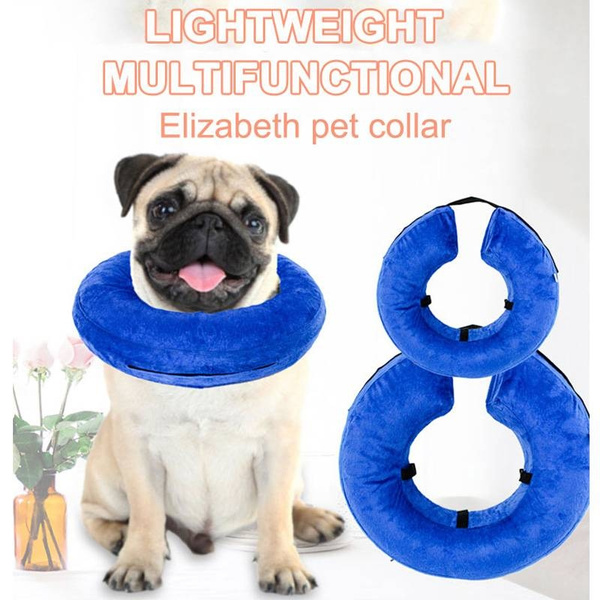 Collier Anti Morsure De Protection De Blessure De Blessure De Chat De Chien D Animal Familier Gonflable D Animal Familier Wish Collier Anti Morsure De Protection De Blessure De Blessure De Chat De Chien D Animal Familier Gonflable D Animal Familier Wish