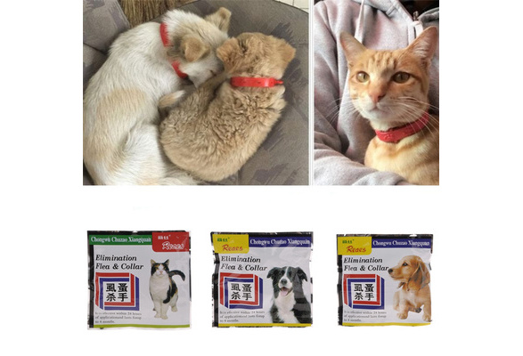 Plastic Large Dog Puppy Cat Pet Elimination Flea Collar Anti Flea Mosquito Strap