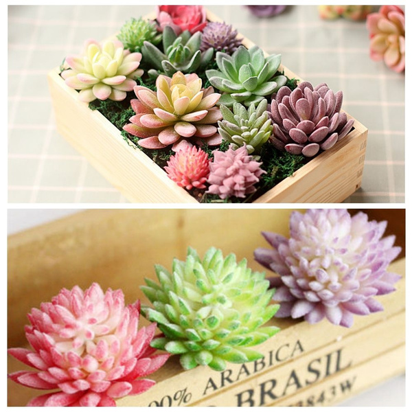 Outdoor Office Miniature Garden Home Decor Fake Plant Cactus Plastic  Artificial Succulents