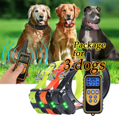 Collar, Dog Collar, electricdogtrainingcollar, Waterproof