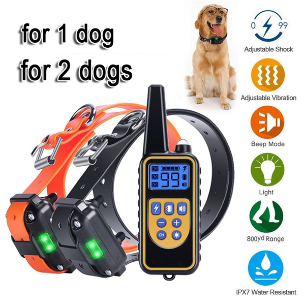 shock belt for dogs