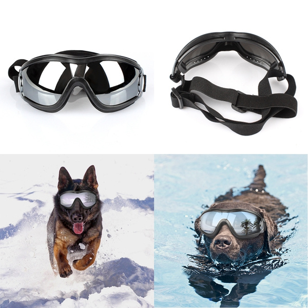 protective eyewear for dogs
